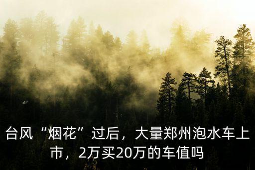 臺(tái)風(fēng)“煙花”過后，大量鄭州泡水車上市，2萬買20萬的車值嗎