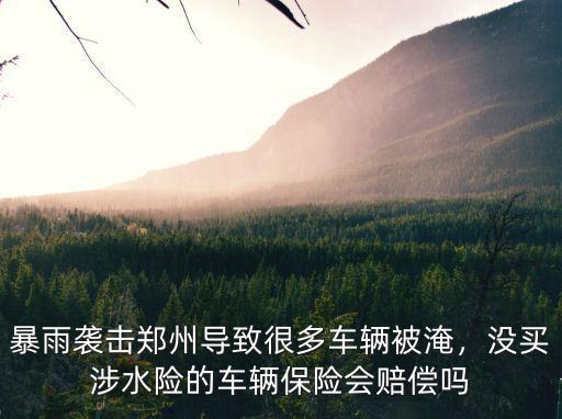 暴雨襲擊鄭州導(dǎo)致很多車輛被淹，沒(méi)買(mǎi)涉水險(xiǎn)的車輛保險(xiǎn)會(huì)賠償嗎