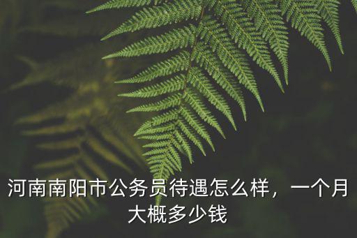 河南南陽市公務員待遇怎么樣，一個月大概多少錢