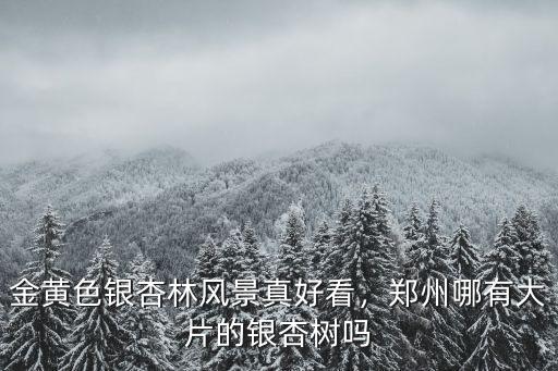 鄭州秋天哪里看銀杏,秋天去哪里看銀杏