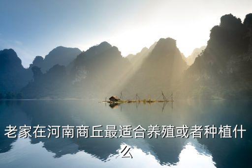 河南菌類養(yǎng)殖市場怎么樣,市場環(huán)境和市場需求怎么樣
