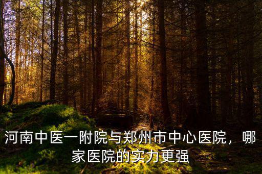 河南中醫一附院與鄭州市中心醫院，哪家醫院的實力更強