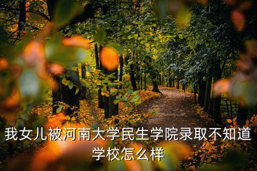 我女兒被河南大學民生學院錄取不知道學校怎么樣