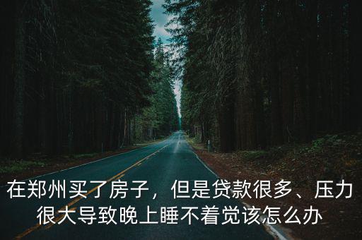 在鄭州買了房子，但是貸款很多、壓力很大導(dǎo)致晚上睡不著覺該怎么辦