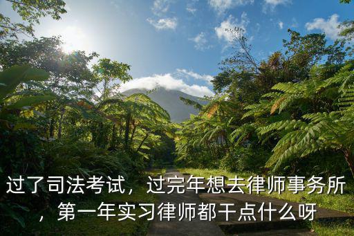 過了司法考試，過完年想去律師事務所，第一年實習律師都干點什么呀