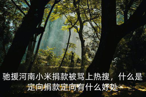 馳援河南小米捐款被罵上熱搜，什么是定向捐款定向有什么好處