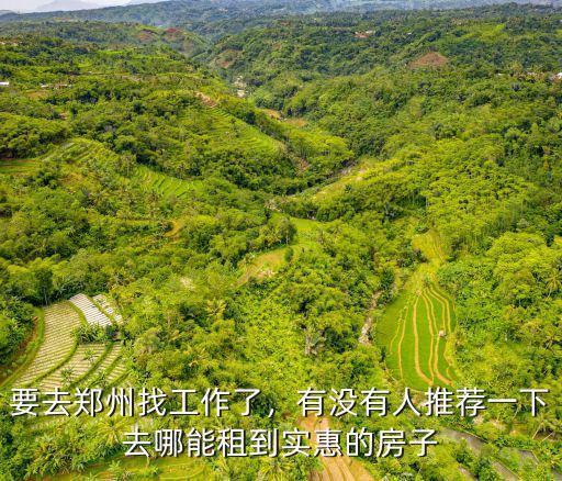 要去鄭州找工作了，有沒有人推薦一下去哪能租到實惠的房子