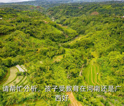 請幫忙分析，孩子受教育在河南還是廣西好
