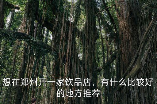 想在鄭州開一家飲品店，有什么比較好的地方推薦