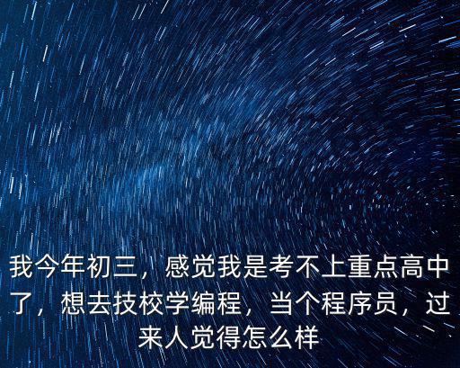 我今年初三，感覺我是考不上重點高中了，想去技校學編程，當個程序員，過來人覺得怎么樣