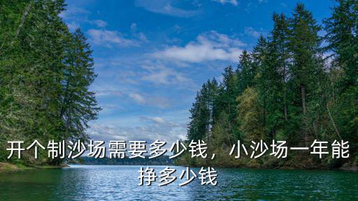 開(kāi)個(gè)制沙場(chǎng)需要多少錢(qián)，小沙場(chǎng)一年能掙多少錢(qián)