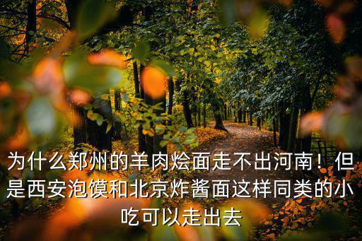 西安哪里有賣河南燴面片的,河南燴面是哪里流傳過(guò)來(lái)的