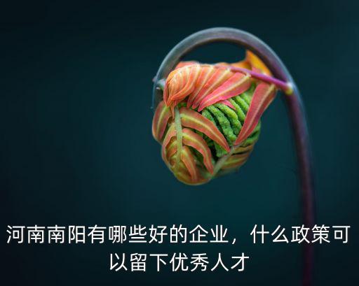 河南南陽有哪些好的企業，什么政策可以留下優秀人才