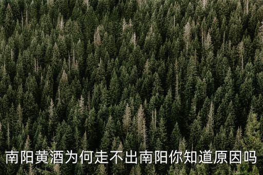 南陽哪里賣黃酒,南陽黃酒為何走不出南陽