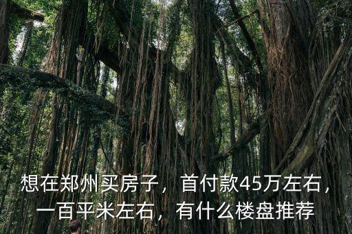 想在鄭州買房子，首付款45萬(wàn)左右，一百平米左右，有什么樓盤推薦