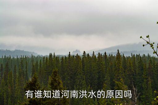 有誰知道河南洪水的原因嗎