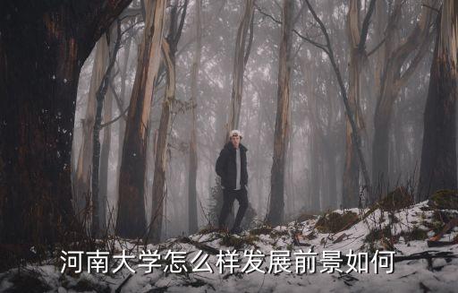河南大學怎么樣發展前景如何