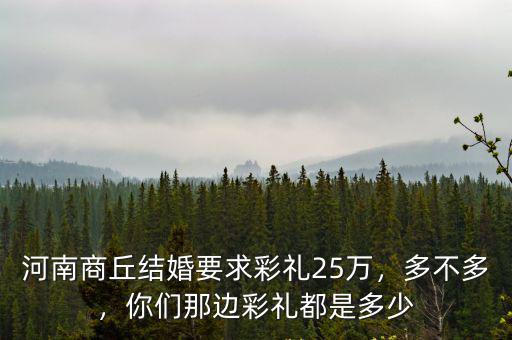 河南商丘結(jié)婚要求彩禮25萬(wàn)，多不多，你們那邊彩禮都是多少