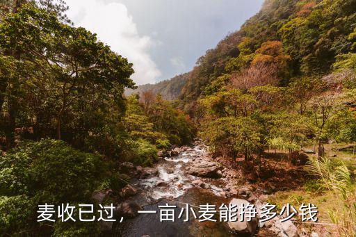麥收已過，一畝小麥能掙多少錢