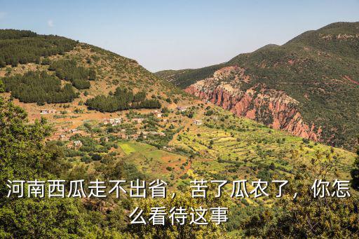 河南西瓜走不出省，苦了瓜農了，你怎么看待這事