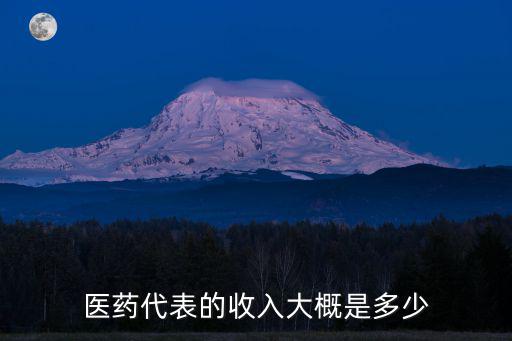 醫(yī)藥代表的收入大概是多少