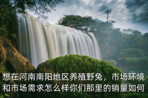 想在河南南陽地區(qū)養(yǎng)殖野兔，市場環(huán)境和市場需求怎么樣你們那里的銷量如何