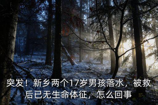 突發！新鄉兩個17歲男孩落水，被救后已無生命體征，怎么回事