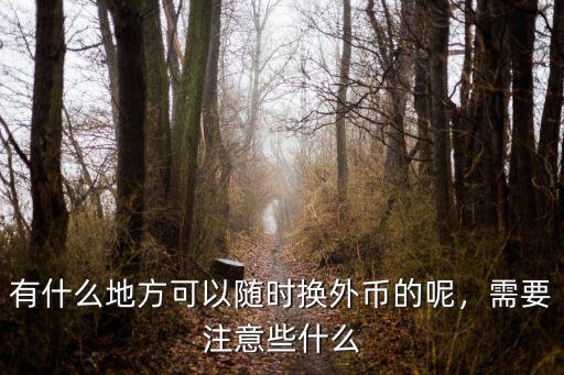 有什么地方可以隨時換外幣的呢，需要注意些什么