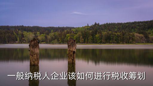 一般納稅人企業(yè)該如何進(jìn)行稅收籌劃
