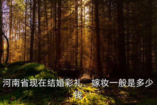 漯河青年鎮彩禮一般給多少,男方一般給女方多少彩禮