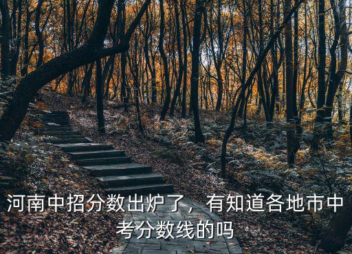 河南中招分?jǐn)?shù)出爐了，有知道各地市中考分?jǐn)?shù)線的嗎
