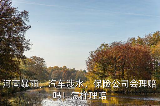 河南鄭州暴雨保險公司怎么理賠,保險公司會理賠嗎