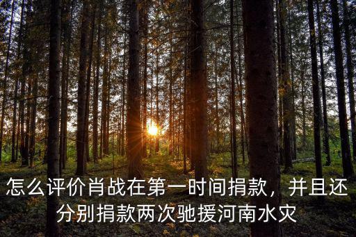馳援河南捐款在哪里操作,誰在馳援河南