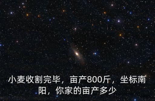 小麥?zhǔn)崭钔戤叄€產(chǎn)800斤，坐標(biāo)南陽，你家的畝產(chǎn)多少