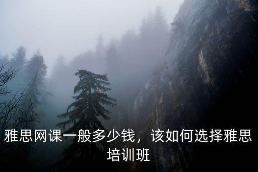 雅思網課一般多少錢，該如何選擇雅思培訓班