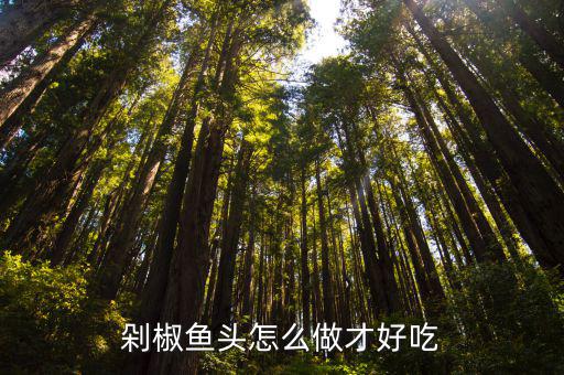 河南阿5魚頭怎么做,魚頭泡餅怎么做