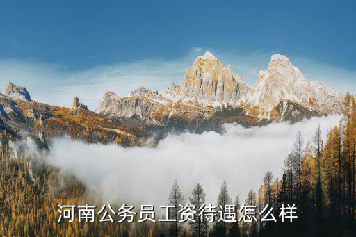河南公務(wù)員工資待遇怎么樣