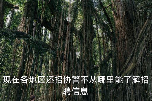 現(xiàn)在各地區(qū)還招協(xié)警不從哪里能了解招聘信息