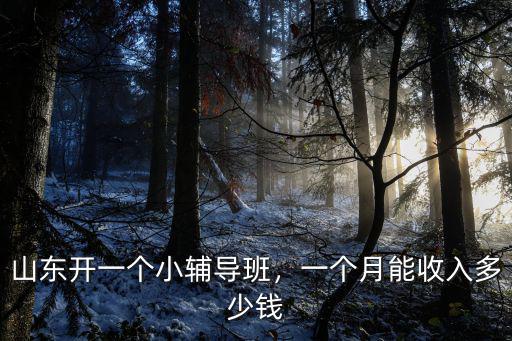 山東開一個小輔導(dǎo)班，一個月能收入多少錢
