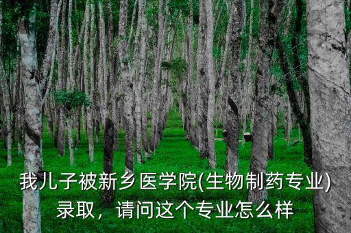 我兒子被新鄉(xiāng)醫(yī)學(xué)院(生物制藥專業(yè))錄取，請問這個專業(yè)怎么樣