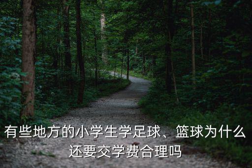 有些地方的小學生學足球、籃球為什么還要交學費合理嗎