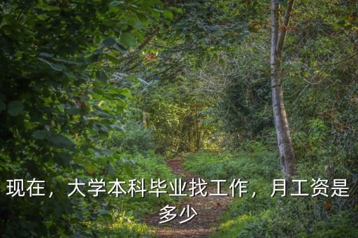 現在，大學本科畢業找工作，月工資是多少