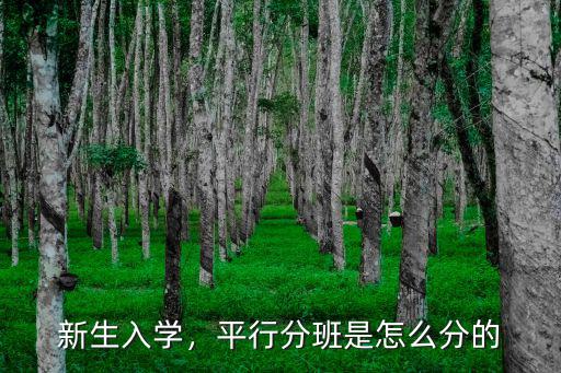 鄭州小學分班怎么分,平行分班是怎么分的