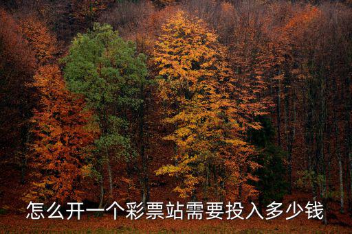 怎么開一個彩票站需要投入多少錢