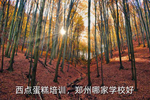 西點蛋糕培訓，鄭州哪家學校好