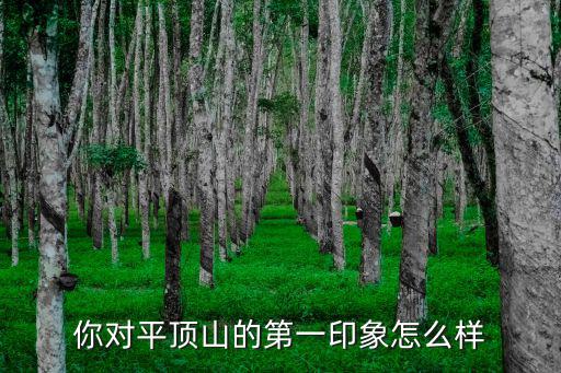 你對平頂山的第一印象怎么樣