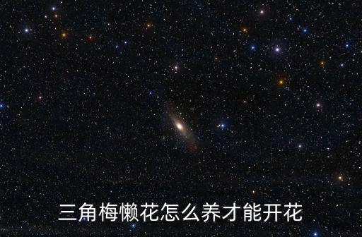 河南三角梅怎么養(yǎng),三角梅萌芽期怎么澆水