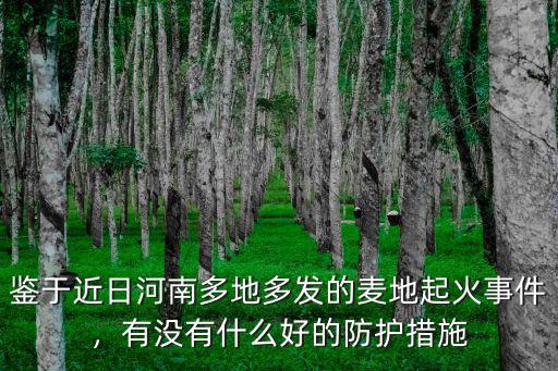 河南哪里的麥子著火啦,河南麥子燒毀