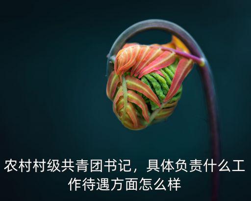 農(nóng)村村級(jí)共青團(tuán)書記，具體負(fù)責(zé)什么工作待遇方面怎么樣