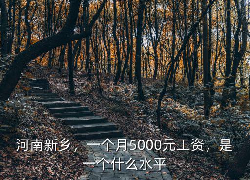 河南新鄉，一個月5000元工資，是一個什么水平